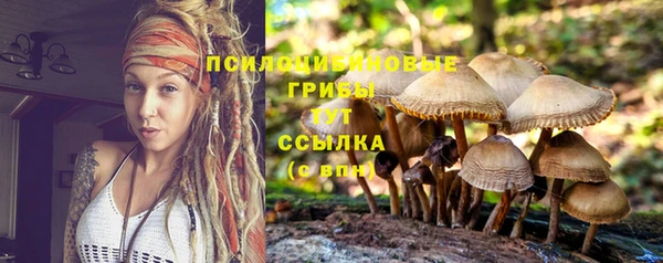 мефедрон мука Каменск-Шахтинский
