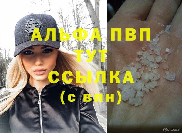 гашик Каменногорск